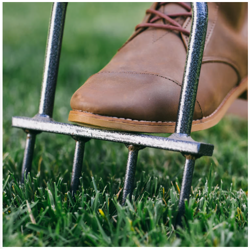 Show lawn aeration, a pivotal part of fall lawn care.